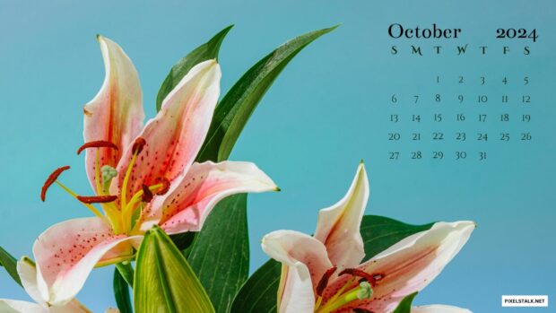 October 2024 Calendar HD Background.