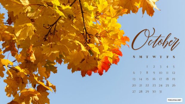 October 2024 Calendar Wallpaper Free download.