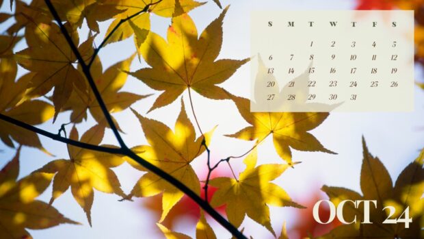 October 2024 Calendar Wallpaper HD for Windows.