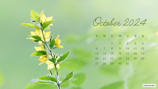 October 2024 Calendar Wallpaper for Mac.