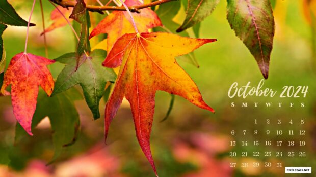 October 2024 Calendar Wallpaper with Fall leaves.