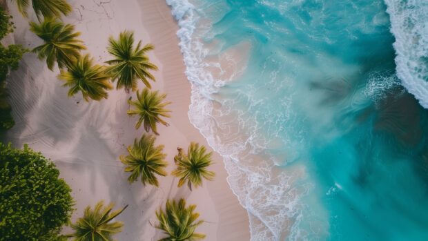 Quiet beach with turquoise water, white sand, and swaying palm trees, Nature Wallpaper desktop.
