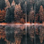 Serene lake surrounded by vibrant autumn foliage, mirror like reflections, Aesthetic Nature Mobile Background.