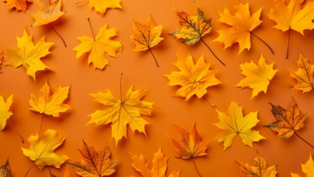 Simple pattern of fall leaves on a solid color background.