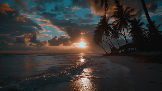 Tropical beach 1080p Wallpaper with palm trees silhouetted against the sky.