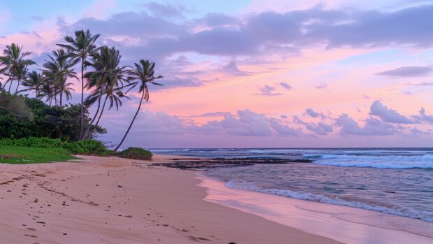 Tropical beach at sunset, colorful sky, gentle waves lapping the shore, Nature photo.