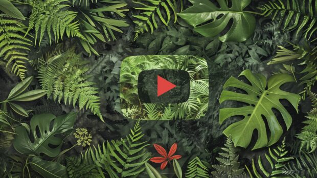 YouTube logo featuring nature inspired elements, such as leaves and natural textures, 2560x1440 background.
