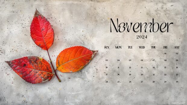 2024 Calendar November Desktop Background.