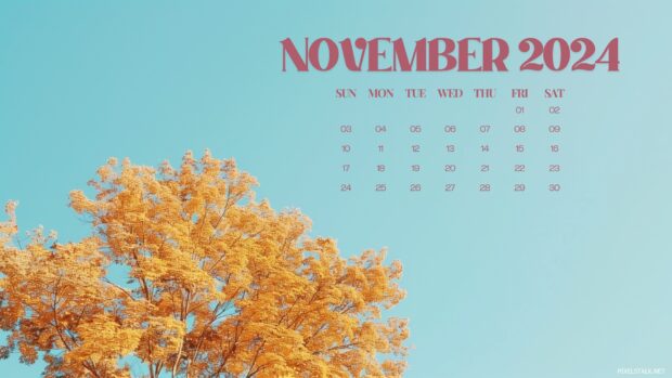 2024 Calendar November HD Desktop Background.