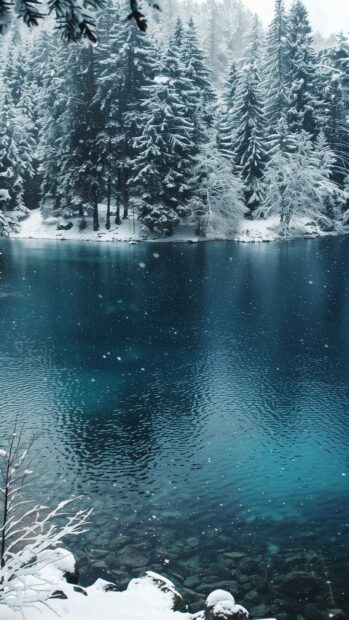 A peaceful winter lake surrounded by snow laden trees, 4K iPhone wallpaper.