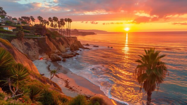 A picturesque California Beach Palm trees desktop wallpaper at sunset with the sky ablaze in orange and pink hues reflecting on the ocean, palm trees lining the shore.