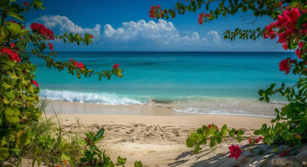 A serene Bahamas Beach Desktop Wallpaper HD with gentle waves and golden sand, framed by lush greenery and vibrant flowers.