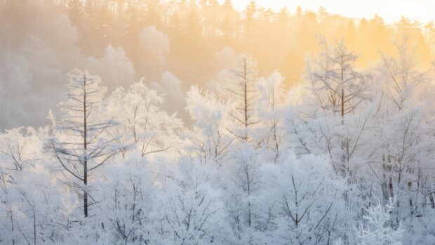 A serene winter morning 4K wallpaper with frost covered trees and soft sunlight.