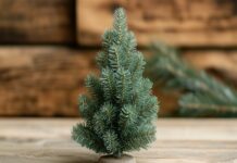 A small, tastefully decorated Christmas tree on a wooden floor.