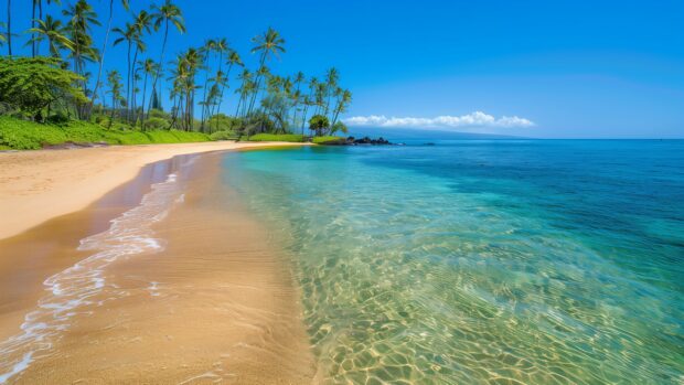 A stunning Hawaii Beach Palm trees HD wallpaper with golden sand and crystal clear turquoise waters, lush palm trees in the background.