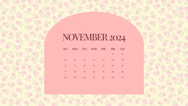 Aesthetic November 2024 Calendar HD Wallpaper.