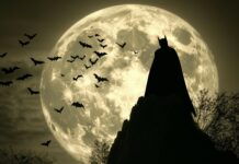 Batman silhouette against a giant full moon, with bats flying in the background.