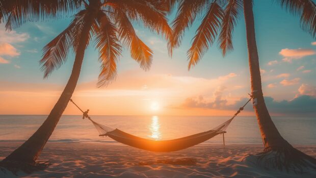 Beach Palm trees wallpaper 4K with a peaceful sunset beach with a hammock strung between two palm trees.