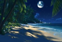 Beautiful Beach at night HD 1080p Wallpaper for desktop.