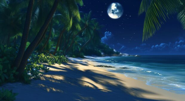 Beautiful Beach at night HD 1080p Wallpaper for desktop.