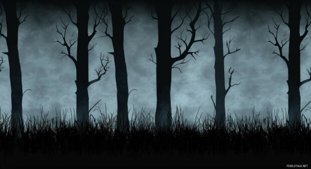 Dark woods desktop background.