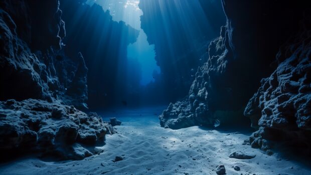 Deep Sea wallpaper HD for Windows.