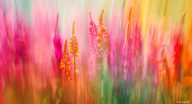 Desktop wallpaper with abstract flower field, vivid colors, dynamic composition.