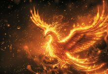 Fire 4K desktop wallpaper with majestic phoenix rising from the flames, with wings spread wide and glowing feathers.