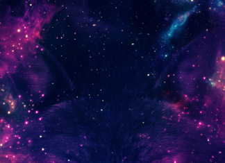 Galaxy Wolf Wallpaper for mobile.