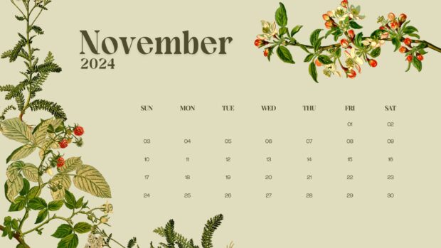 November 2024 Calendar Desktop Background for Mac OS.