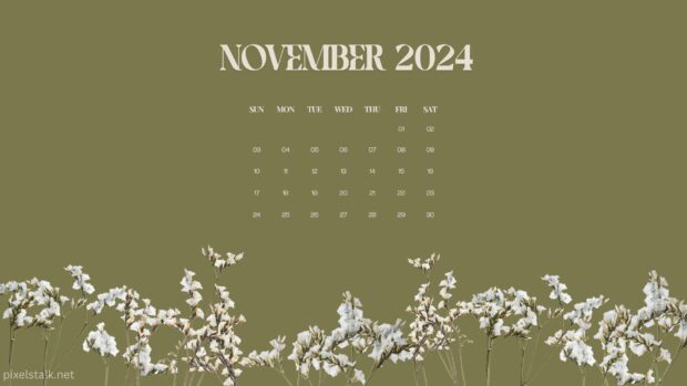 November 2024 Calendar Desktop Wallpaper 1920x1080.