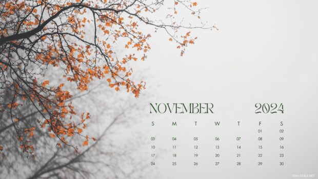 November 2024 Calendar Desktop Wallpaper HD free download.