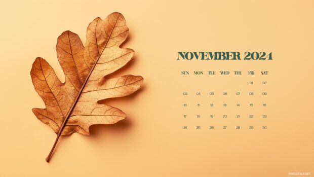 November 2024 Calendar Desktop Wallpaper Warm Tone Background.