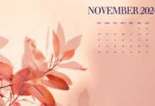 November 2024 Calendar Fall Desktop Background.