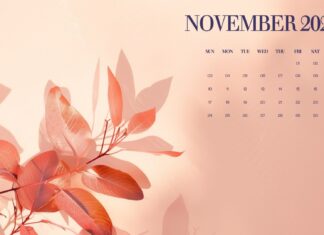 November 2024 Calendar Fall Desktop Background.