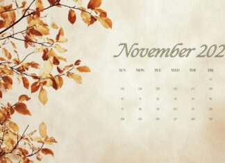 November 2024 Calendar HD Wallpaper of Autumn.