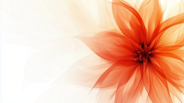 Orange flower wallpaper 4K with warm, vivid hues.