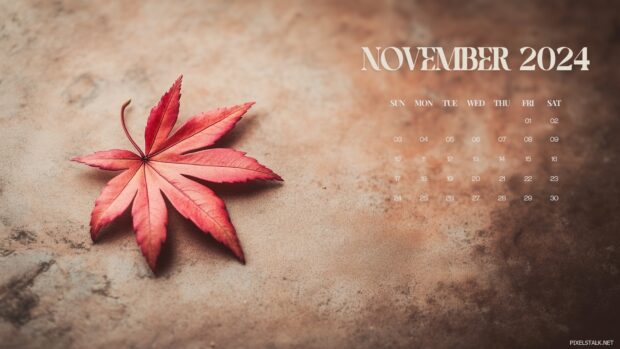 Simple November 2024 Calendar HD Wallpaper with a leaf.