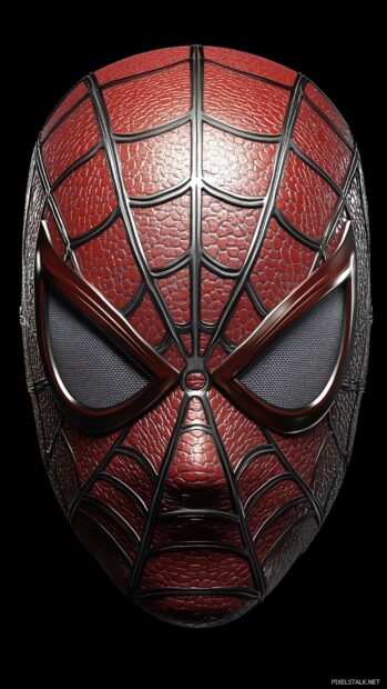 Spiderman mask with a web pattern overlay on a solid black background.