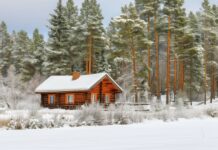 Winter forest 4K with a snow covered cabin in the distance.