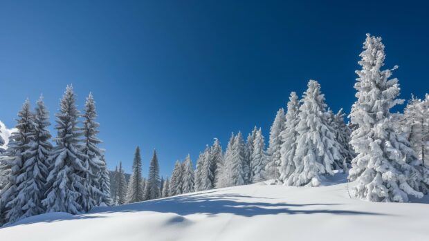 Winter landscape with snow covered pine trees and a clear blue sky, 4K Wallpaper.