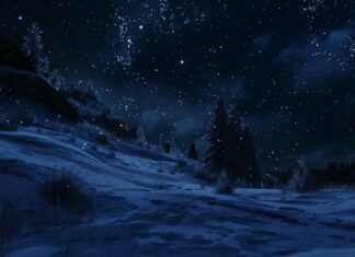 Winter night with stars shining above a snowy landscape.