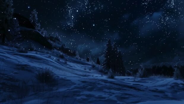 Winter night with stars shining above a snowy landscape.