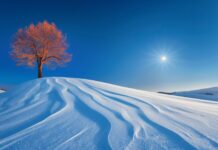 Wonderland Winter HD Wallpaper with sparkling snow under the moonlight.