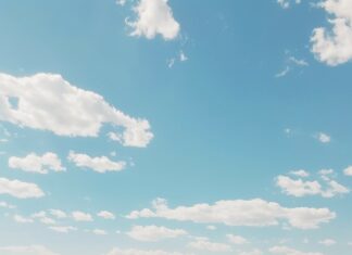 1080x1920 Background with a field of vibrant sunflowers stretching towards the horizon under a bright blue sky.