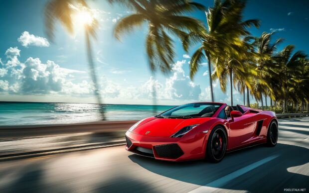 1920×1200 Wallpaper  with a Lamborghini Gallardo Spyder in red, cruising along a sunny coastal road with the ocean and palm trees in the background.