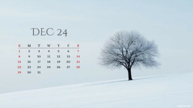 2024 December Calendar Wallpaper HD for Mac OS.