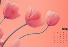 2025 April Calendar HD Wallpaper 4.