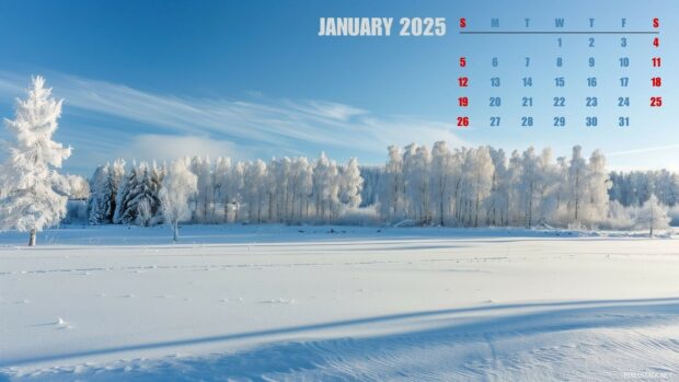 2025 January Calendar Desktop Wallpaper.