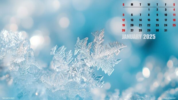 2025 January Calendar HD Wallpaper.